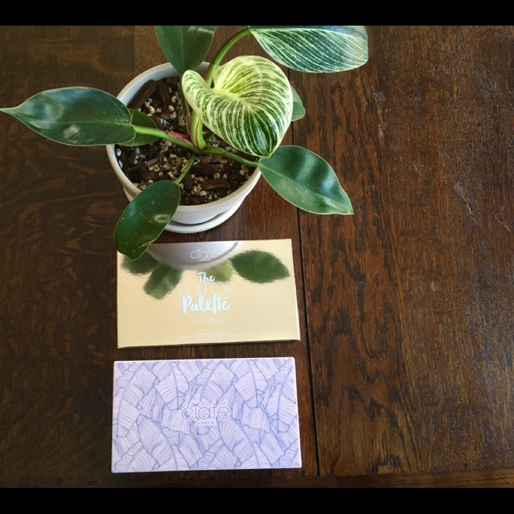 Editor Palette - New England